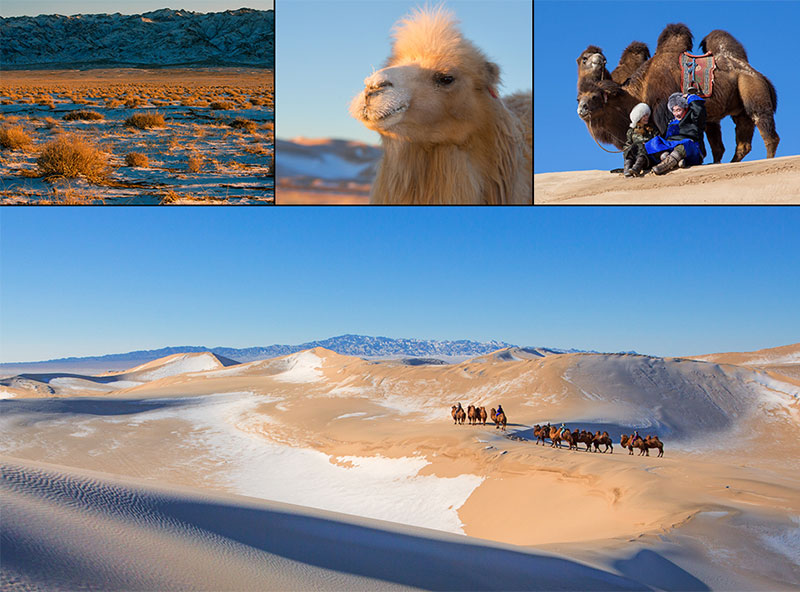 travel mongolian gobi desert 